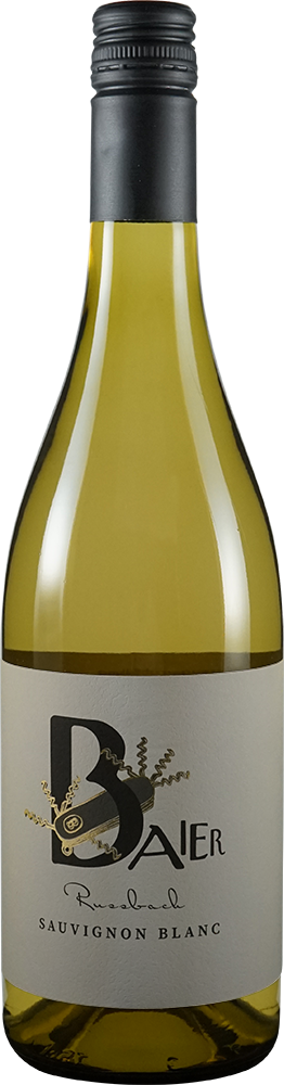 2025 Sauvignon Blanc Russbach trocken Bio - Weingut Baier