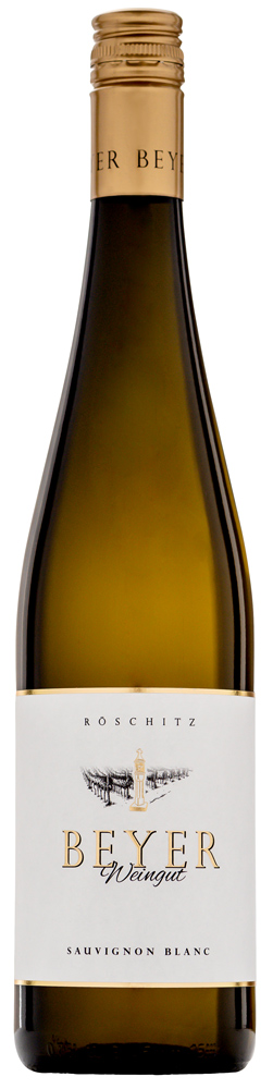 Matthias Beyer 2020 Sauvignon Blanc trocken