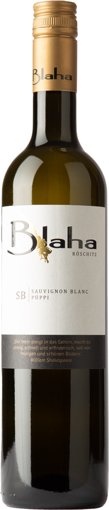 Martin Blaha 2022 Sauvignon Blanc "Püppi" trocken