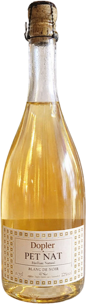 2021 PET NAT trocken - Weingut Dopler