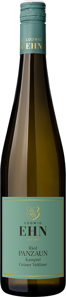 2025 Ried Panzaun Grüner Veltliner Kamptal DAC trocken - Weingut Ludwig Ehn
