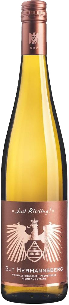 2019 Just Riesling VDP.Gutswein trocken - Weingut Gut Hermannsberg