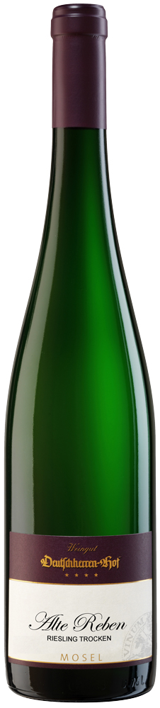 2012 Deutschherrenberg Riesling Alte Reben trocken // Weingut Deutschherren-Hof