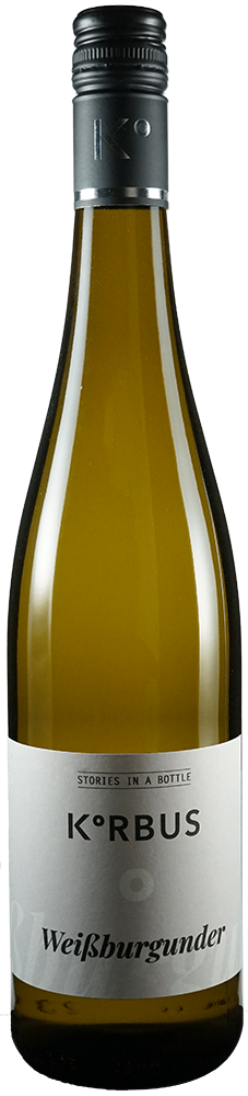 2025 Weißburgunder trocken - Korbus Wine