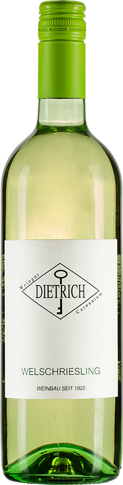 2025 Welschriesling trocken - Weingut Claus Dietrich