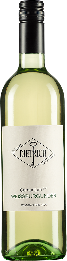 2025 Weißburgunder trocken - Weingut Claus Dietrich