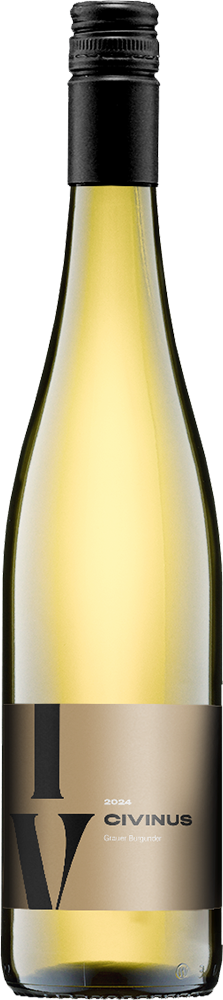 2024 Civinus Grauer Burgunder trocken Bio - Weingut Franz