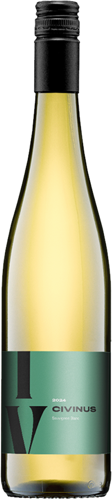 2024 Civinus Sauvignon Blanc trocken Bio - Weingut Franz