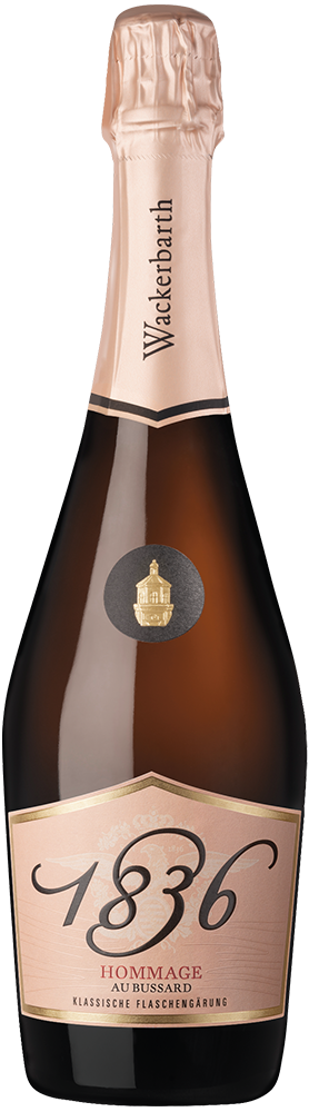 Hommage 1836 rosé b.A. Sachsen Klassische Gärung extra trocken - Sächsisches Staatsweingut Schloss Wackerbarth