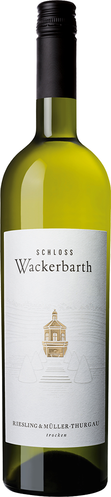 2025 Riesling & Müller Thurgau trocken - Sächsisches Staatsweingut Schloss Wackerbarth