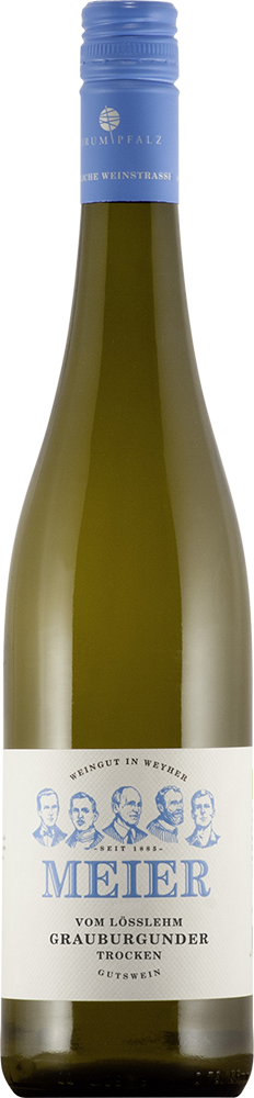 2024 Grauburgunder -vom Lösslehm trocken Bio - Weingut Meier