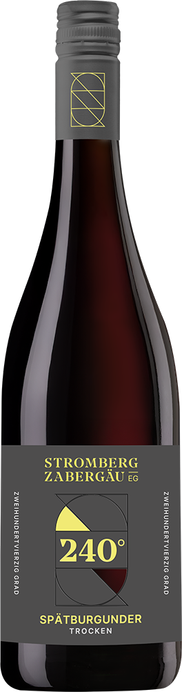 2022 240° Entdeckung Spätburgunder trocken - Weingärtner Stromberg-Zabergäu