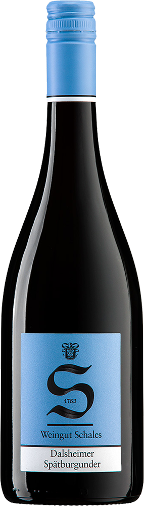 2021 Dalsheimer Spätburgunder trocken - Weingut Schales