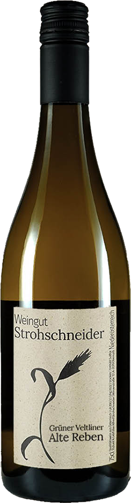 2025 Grüner Veltliner Alte Reben trocken - Weingut Strohschneider