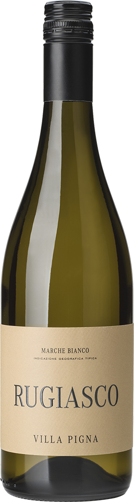Rugiasco Marche IGP trocken - Cantina Villa Pigna