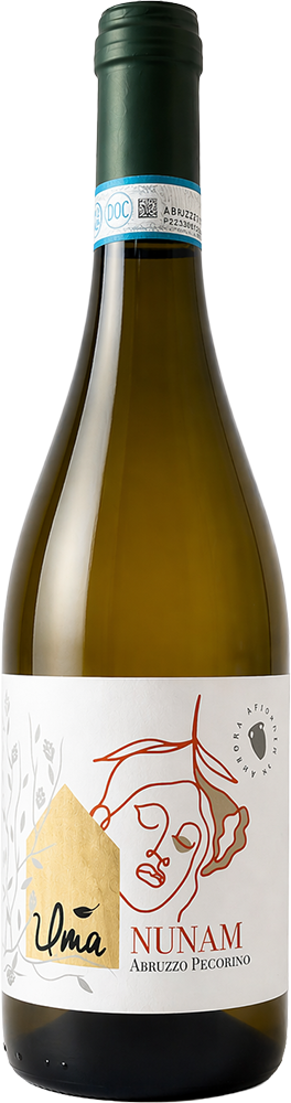 2025 Nunam Pecorino Abruzzo DOC trocken Bio - Uma Casanatura