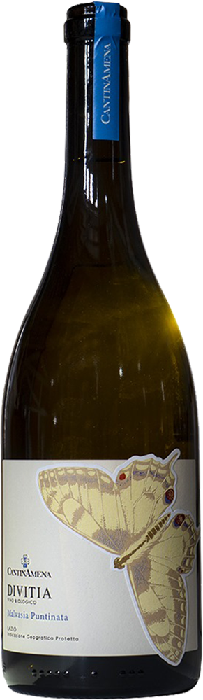 2023 Divitia Lazio IGP trocken Bio - CantinAmena