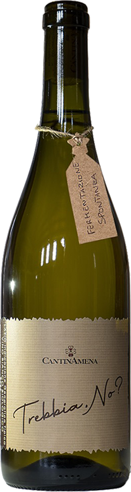 2024 Trebbia.no? Lazio IGP trocken Bio - CantinAmena