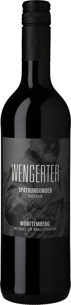 2021 Wengerter Spätburgunder trocken - Weingärtner Stromberg-Zabergäu