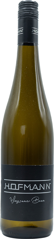 2025 Grüner Veltliner Wagramer Buam trocken - Weinbau Markus Hofmann