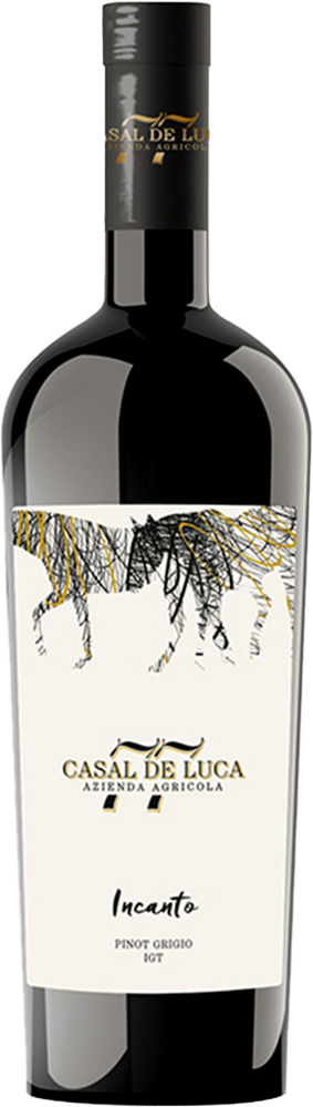 2023 Incanto Pinot Grigio Lazio IGP trocken Bio - Azienda Agricola Casal De Luca