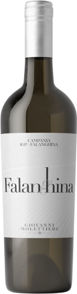 2024 Falanghina Campania IGP trocken - Giovanni Molettieri