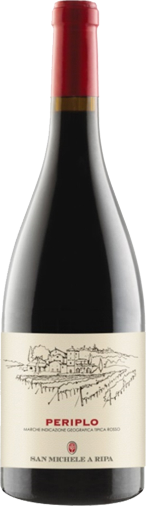 2016 Periplo Marche IGP trocken - San Michele a Ripa