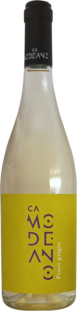2024 Pinot Grigio Friuli DOC trocken - Modeano