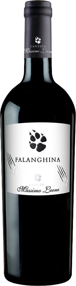 2023 Falanghina Puglia IGP trocken - Cantine Massimo Leone