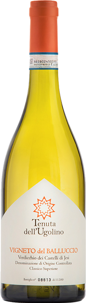 2024 Vigneto del Balluccio Verdicchio dei Castelli di Jesi Classico Superiore DOC trocken Bio - Tenuta dell'Ugolino