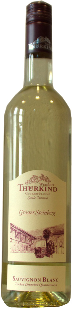 Thürkind 2020 Sauvinon Blanc trocken