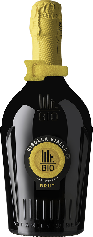 2022 Spumante Ribolla Gialla brut Bio - Mister Bio Wine