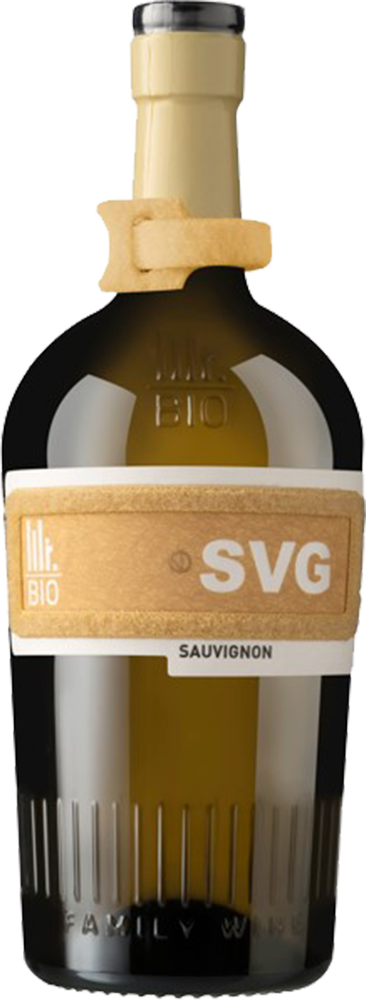 2021 Sauvignon Friuli DOC trocken Bio - Mister Bio Wine