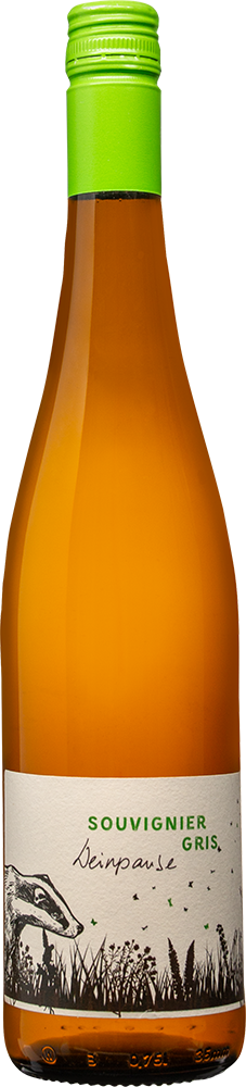 2023 Winkler Dachsberg Souvignier Gris trocken - Weingut Weinpause