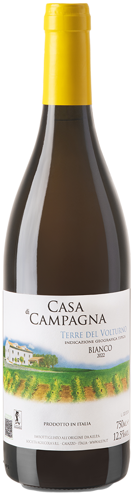 2022 Casa di Campagna Terre del Volturno IGP Bianco trocken - Alepa