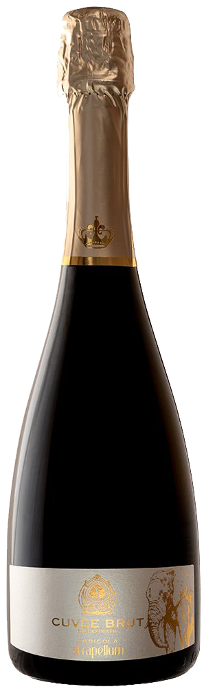 Spumante Cuvèe Millesimato brut - Agricola Strapellum