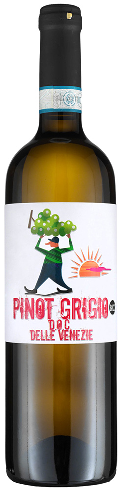 2022 Pinot Grigio delle Venezie DOC trocken Bio - Società Agricola Trevisana