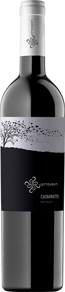 2023 Catarratto Sicilia DOC trocken Bio - Ottoventi