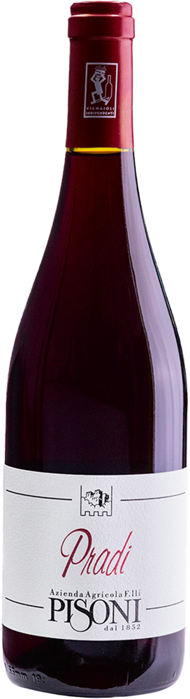 2023 Pradi Teroldego Vigneti delle Dolomiti IGP trocken Bio - Pisoni Azienda Agricola