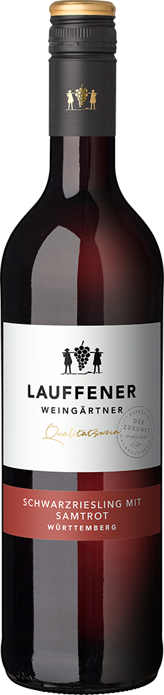 2024 Schwarzriesling mit Samtrot halbtrocken - Lauffener Weingärtner