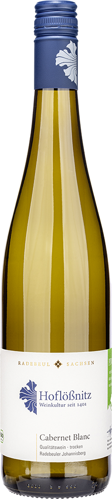 2023 Cabernet Blanc - Radebeuler Johannisberg trocken Bio - Weingut Hoflößnitz