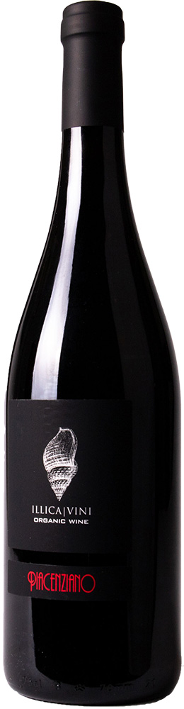 2020 Piacenziano Gutturnio DOC Bio - Azienda Vitivinicola Illica
