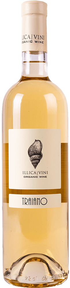 2021 Traiano trocken Bio - Azienda Vitivinicola Illica