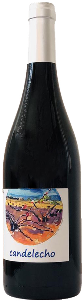 2021 Candelecho Gewürztraminer Tinaja 11 Castilla VT trocken - Bodegas César Velasco