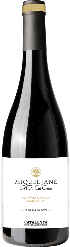 2021 Masía Cal Costas Catalunya DO trocken - Miquel Jané