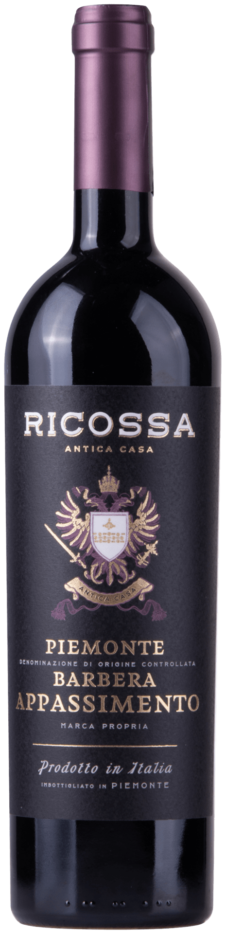 2022 Barbera Piemonte Appassimento DOC halbtrocken - Ricossa