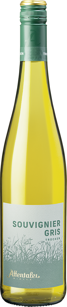 2024 Souvignier Gris trocken - Affentaler Winzer