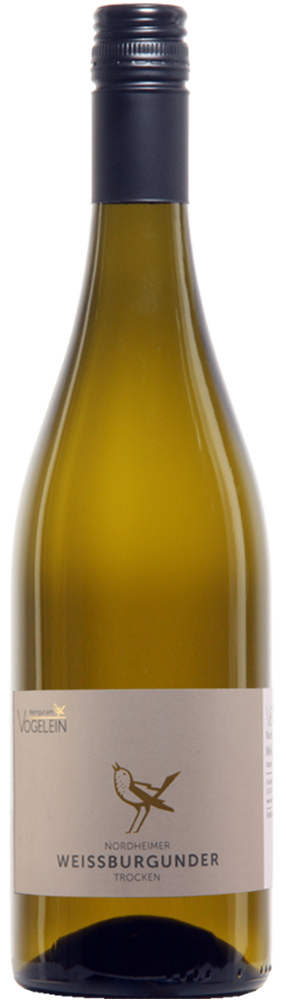 2024 Weissburgunder trocken - Weingut am Vögelein