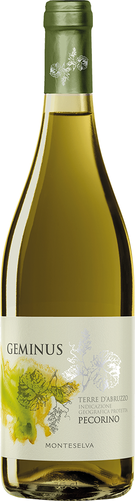 2025 Geminus Pecorino Terre d'Abruzzo IGP trocken - Monteselva