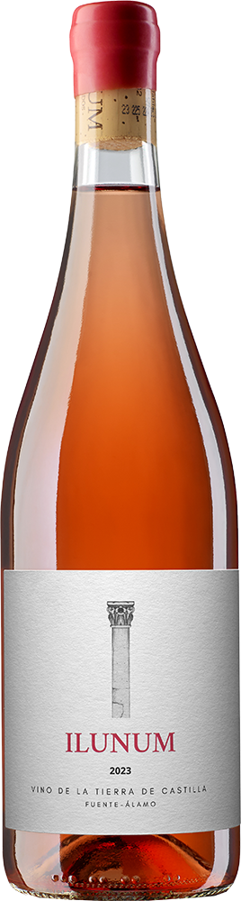 2024 Ilunum Rosado Castilla VT trocken - Ilunum